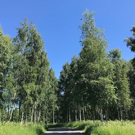 Stort Hus I Porsgrunn Sentrum Med Gangavstand Til "Alt" & Gratis Parkering Til Flere Biler Extérieur photo