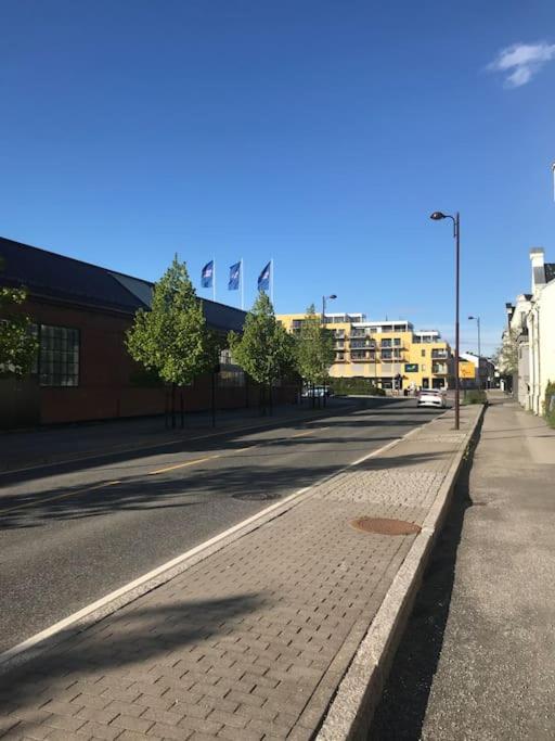 Stort Hus I Porsgrunn Sentrum Med Gangavstand Til "Alt" & Gratis Parkering Til Flere Biler Extérieur photo
